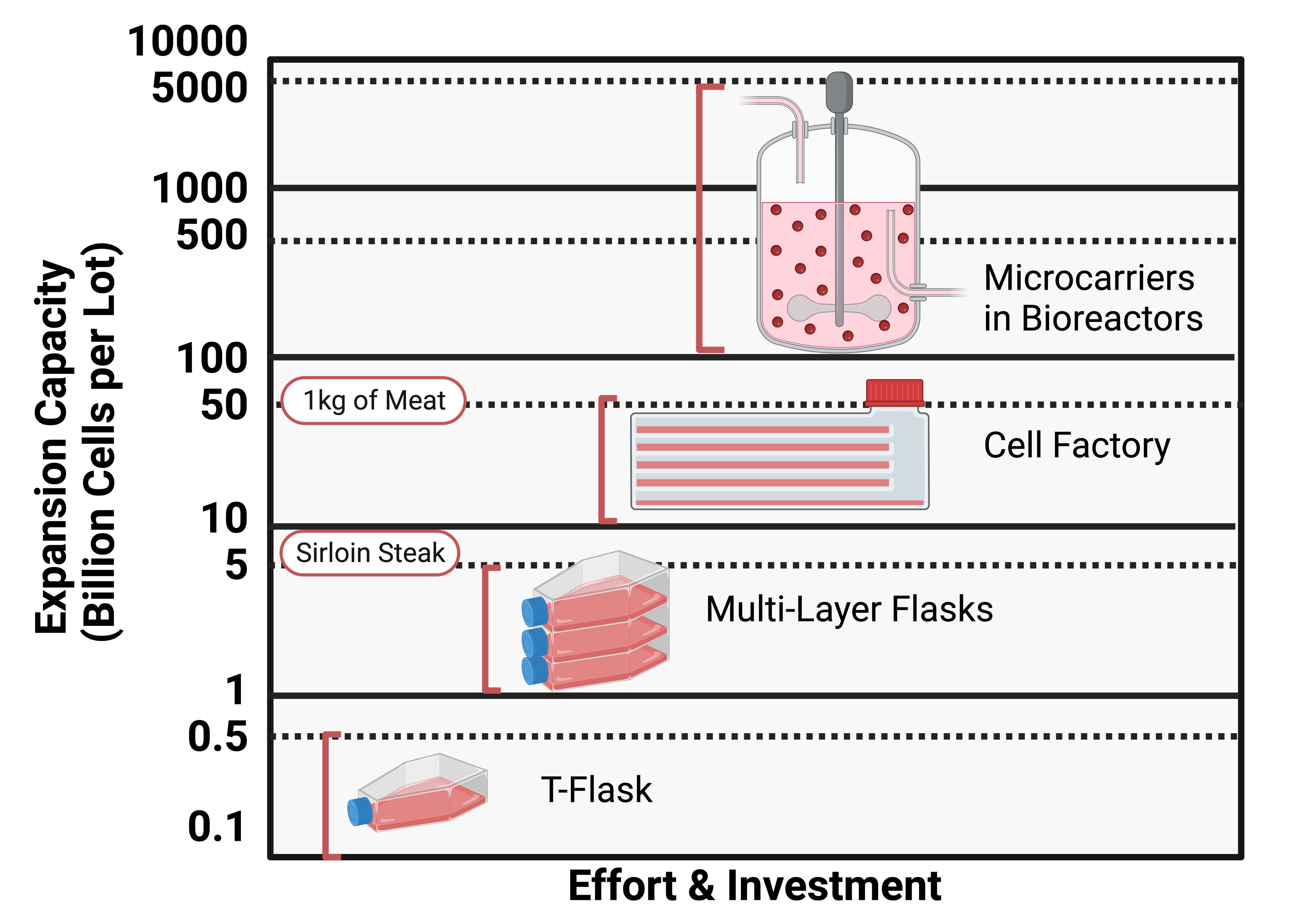 What are microcarriers smart biomaterials solutions smart mcs