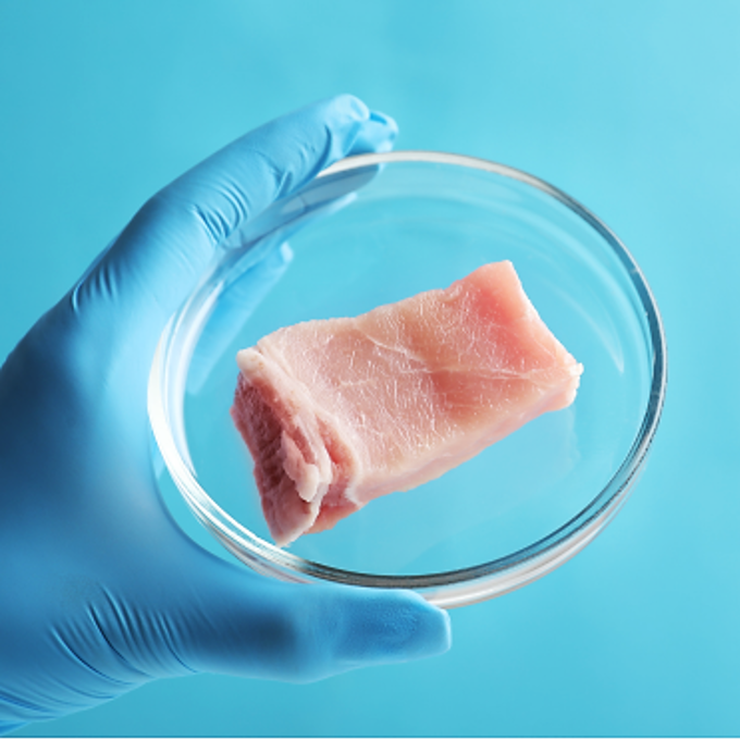 Race for Sustainable Protein: Companies Compete to Develop the Superior Cultured or Artificial Meat