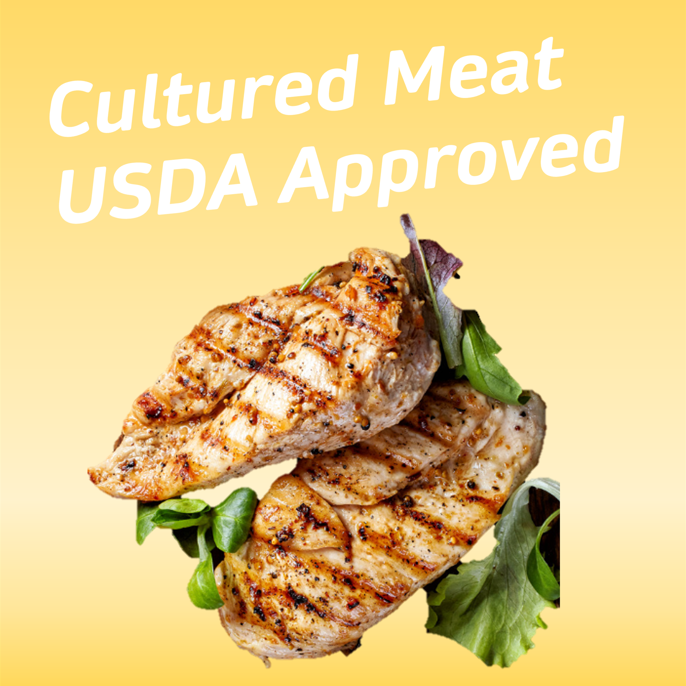 Cultured Meat Officially Approved for Sale in the US