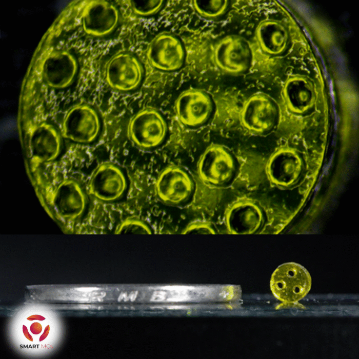 Hyaluronic Acid Methacryloyl (HAMA) - Image 4