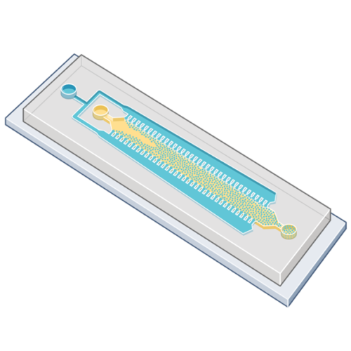 Droplet Microfluidic Devices for Controlled Droplet Generation – Smart ...