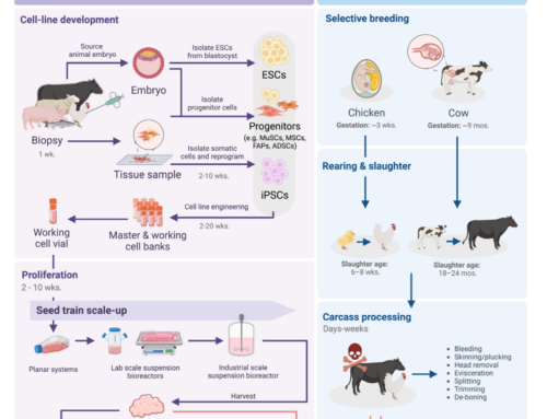 Enhancing the Palatability of Cultivated Meat: A Review
