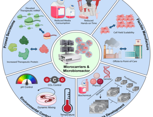 Cutting-Edge Microbioreactor Approach Enhances MSC Yield and Potency for Therapies