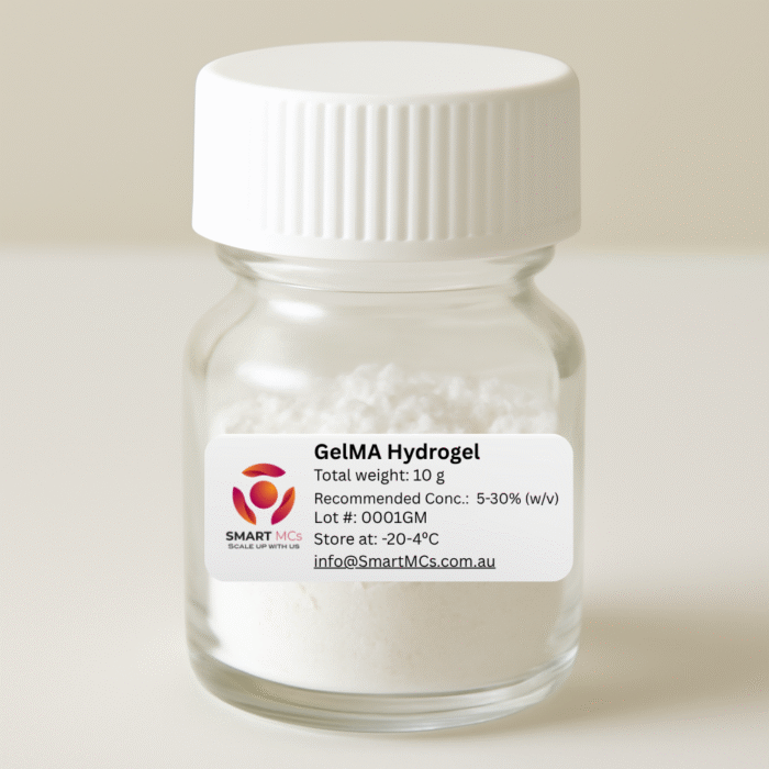 Methacryloyl Gelatin (GelMA)