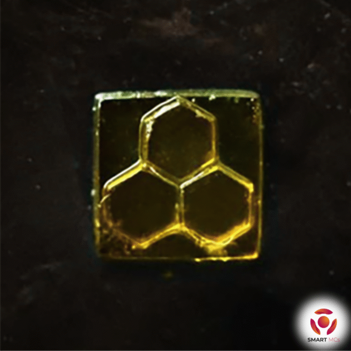 PLMA (poly-L-lysine methacrylate) - Image 2