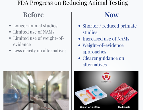 FDA Reports One-Year Progress in Reducing Animal Testing in Drug Development