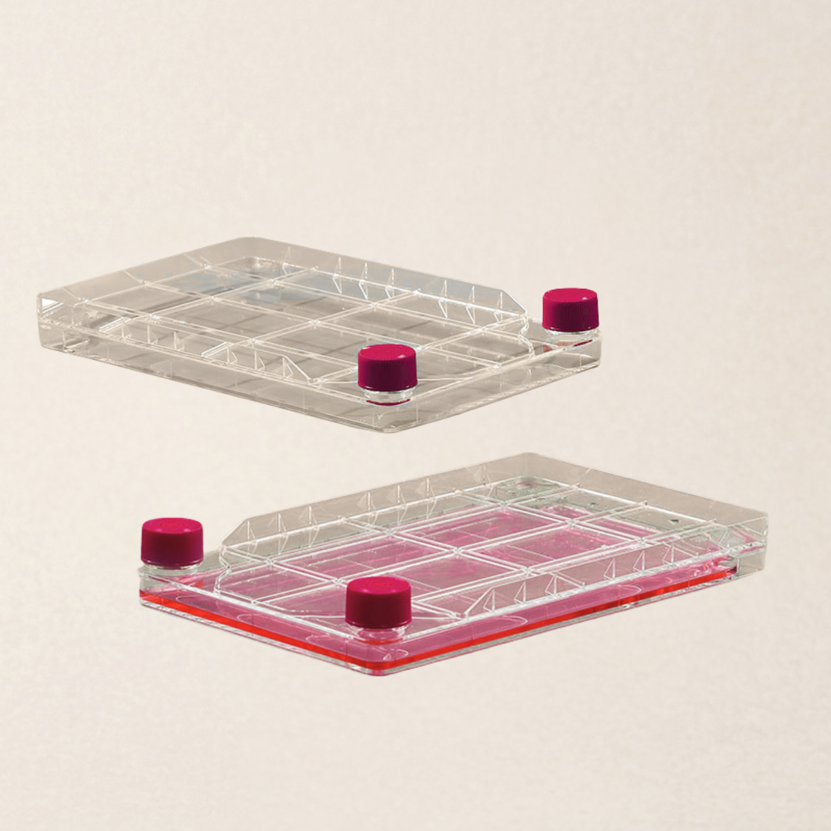 Multi-Layer Cell Factory System for Large-Scale Adherent Cell Culture - Image 2