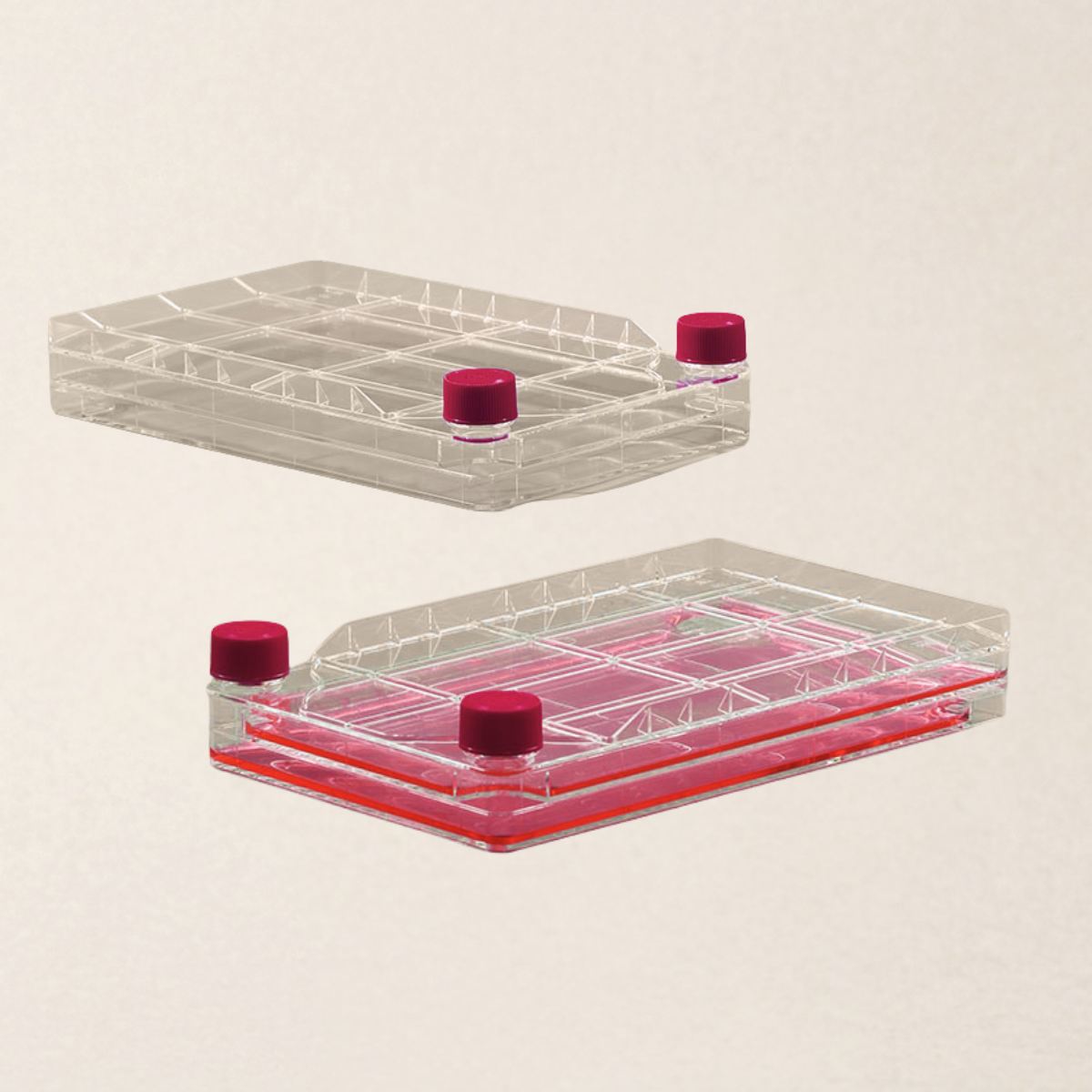Multi-Layer Cell Factory System for Large-Scale Adherent Cell Culture - Image 3