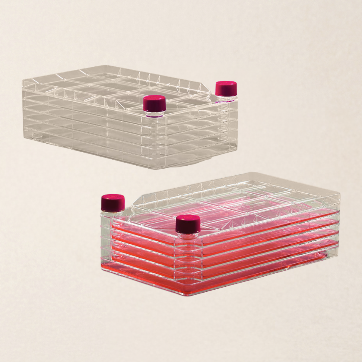 Multi-Layer Cell Factory System for Large-Scale Adherent Cell Culture - Image 4