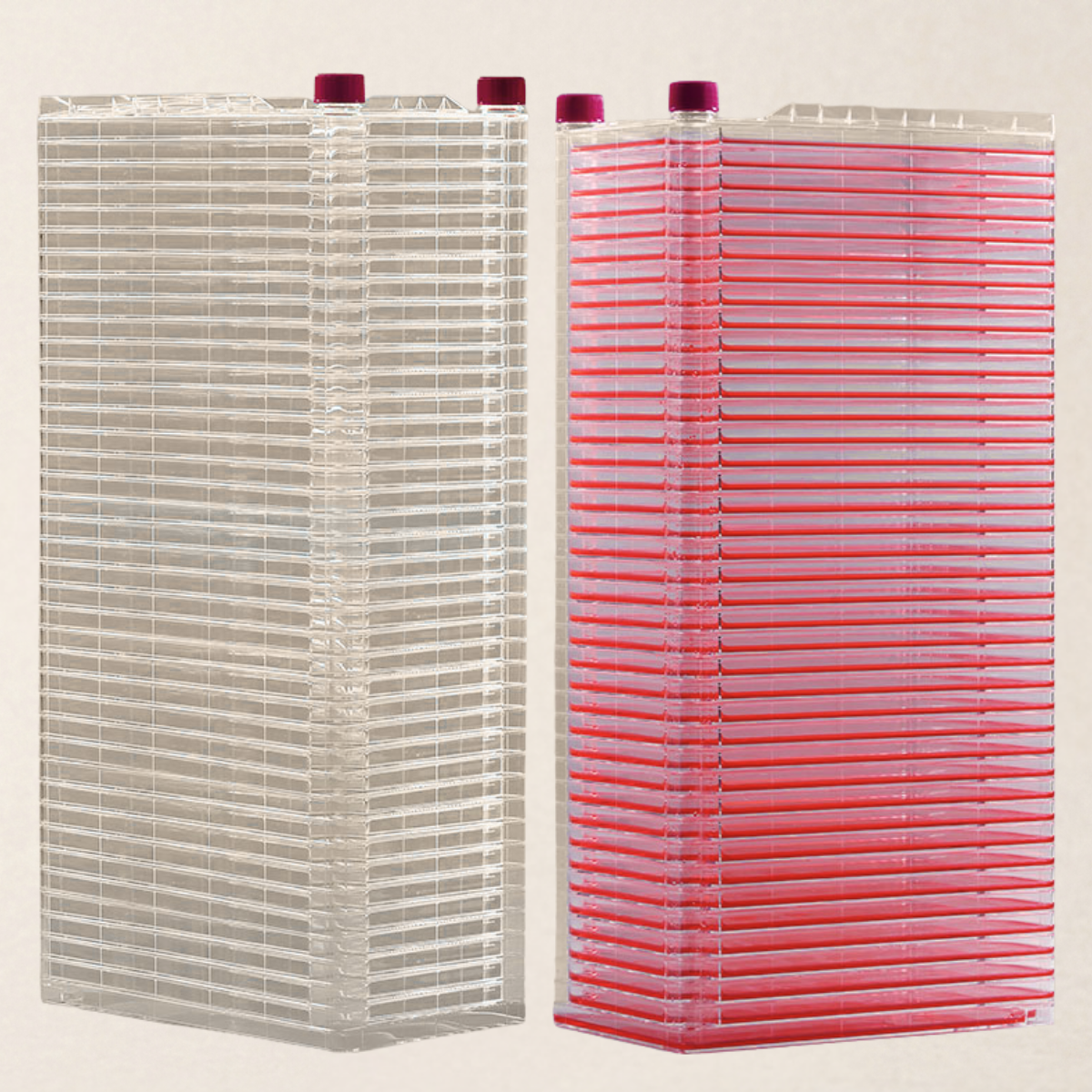 Multi-Layer Cell Factory System for Large-Scale Adherent Cell Culture - Image 5