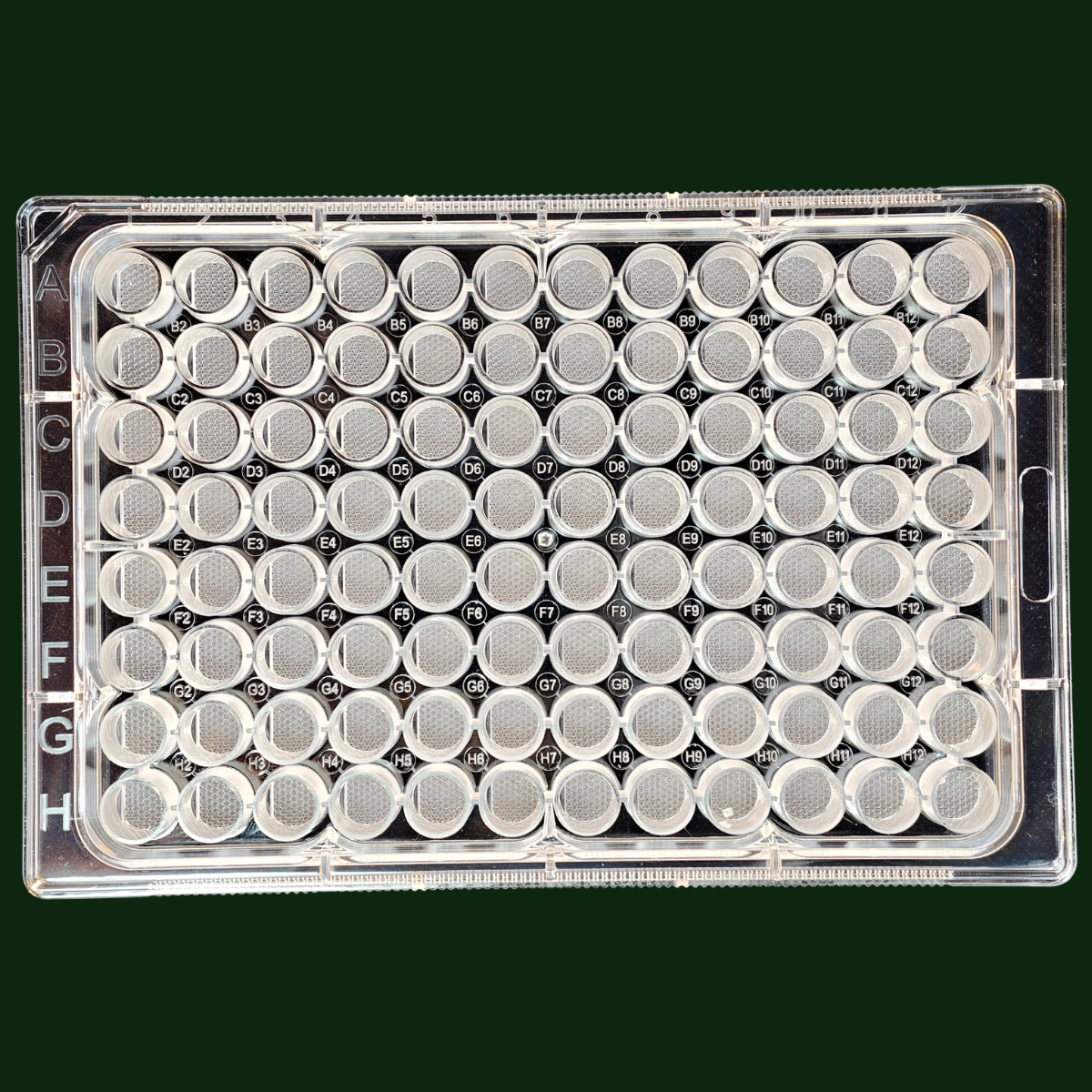 Spheroid Generation Well Plates for 3D Cell Culture - Image 3