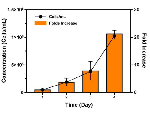 P2 Microcarrier – C2C12 Cell Culture