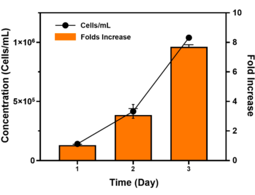 P1 Microcarrier – HEK293T Cell Culture