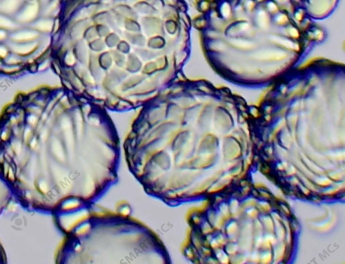 How Do I Actually Choose the Right Microcarrier for My Cell Type?