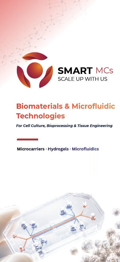 Company Brochure